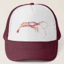 Recherche de crevette de casquettes Crevettes