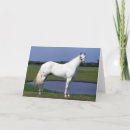 Suche nach appaloosa karten Bob langrish