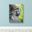 Suche nach lustiger affe leinwandbilder Gorilla