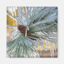 Suche nach zapfen magnete Winter