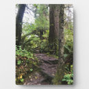 Suche nach western fotoplatten Wald