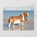 Recherche de basset hound anniversaire cartes Chiot