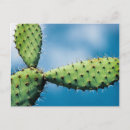 Suche nach prickley poster Wüste
