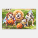 Suche nach halloween katze aufkleber Lustig