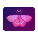 Recherche de insectes magnets Violet