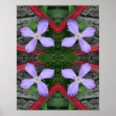 Suche nach clematis poster Sommer