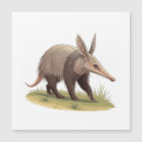 Recherche de oryctérope Faune