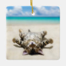 Recherche de bronzage ornements Plage