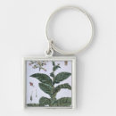 Suche nach sammlung schlüsselanhänger Botanisch