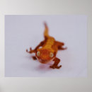 Suche nach flächen poster Feld