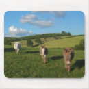 Suche nach esel mousepads Landschaft
