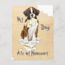 Recherche de boxeurs cartes postales Boxer
