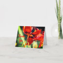 Suche nach orange lilie karten Blumenreich