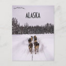 Suche nach schlittenhunde postkarten Alaska