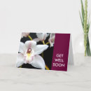 Recherche de orchidée blanche vœux cartes Fleurs