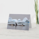 Recherche de orque vœux cartes Faune