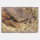 Suche nach schweine decken Niedliches schwein