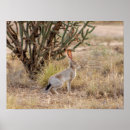 Suche nach southwestern poster Desert