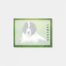 Recherche de chien terre neuve posters Animaux domestiques