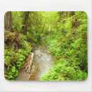 Suche nach photography mousepads Green