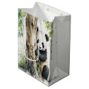 Recherche de panda Ours