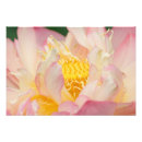 Suche nach lotus blüte poster Dekorativ