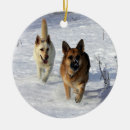 Suche nach schäferhund im schnee ornamente Elsässisch