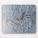 Recherche de héron bleu tapis souris Animal