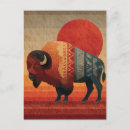 Suche nach amerikanischer bison postkarten Einheimisch