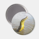 Suche nach sprung magnete Springend