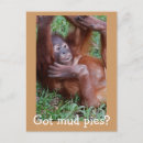 Recherche de boue cartes postales Sale