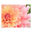 Recherche de fleur de dahlia posters Jaune