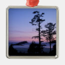 Suche nach baum silhouette ornamente Natur