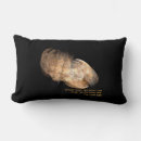 Recherche de judaïsme coussins Israël