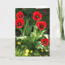 Suche nach tulpen karten Rot