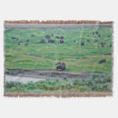 Suche nach bison decken Tierwelt
