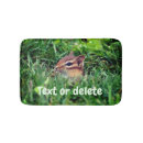 Suche nach chipmunk Niedlich