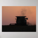 Suche nach sojabohnen poster Feld