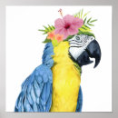 Suche nach halo poster Vögel