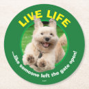 Recherche de mignon animaux dessous de verres Humour