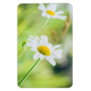 Recherche de marguerites magnets Pour elle