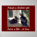 Recherche de adoption posters Animaux de compagnie