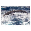 Recherche de queue de baleine posters Bosse