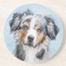 Recherche de berger dessous de verres Chiot