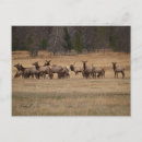 Recherche de harem cartes postales Mâle