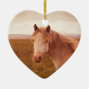 Suche nach wildpferd ornamente Pony