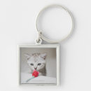 Recherche de jouets porteclés Chat