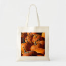 Recherche de citrouilles sacs Chute