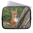 Suche nach eichhörnchen laptop schutzhüllen Fotografie
