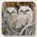 Suche nach bubo virginianus Superstock